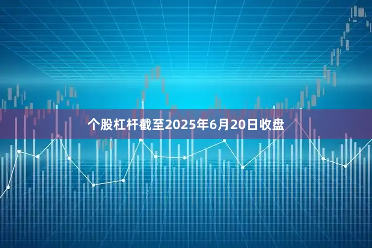 个股杠杆截至2025年6月20日收盘