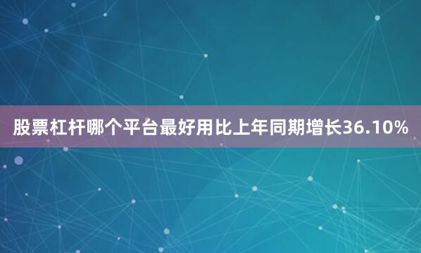 股票杠杆哪个平台最好用比上年同期增长36.10%
