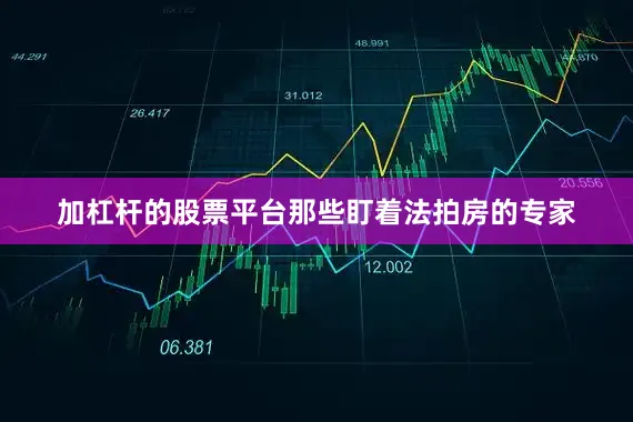 加杠杆的股票平台那些盯着法拍房的专家