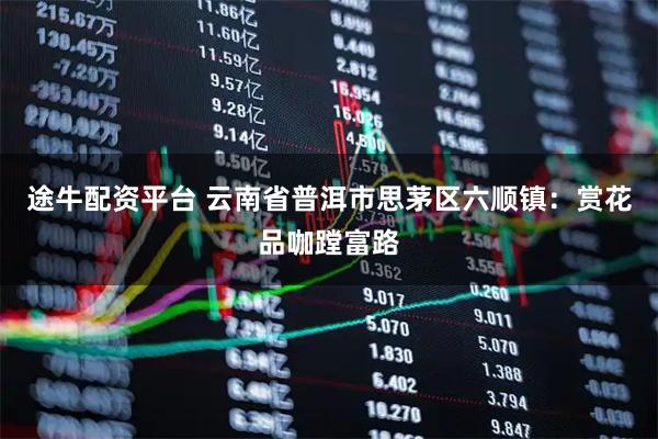 途牛配资平台 云南省普洱市思茅区六顺镇：赏花品咖蹚富路
